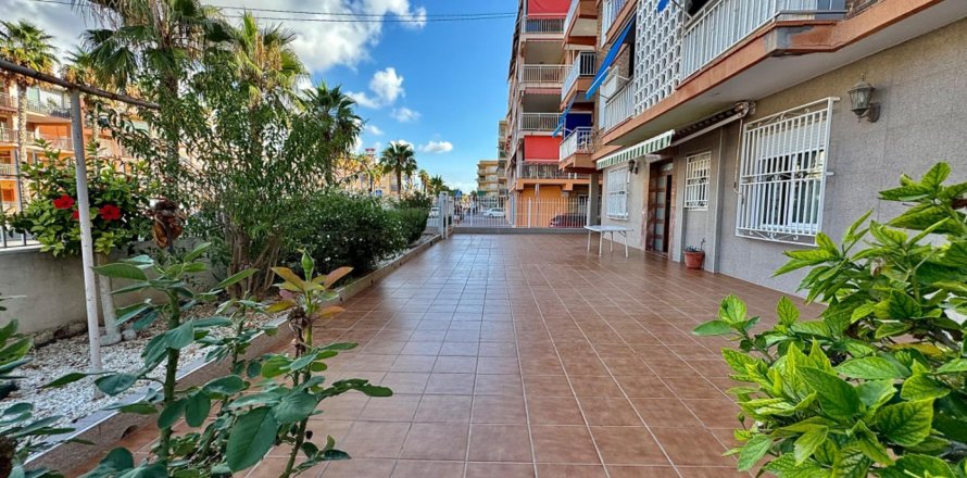 Apartment Torrevieja, Alicante, Spain 3 bedrooms, 111 sq.m. No. 109101