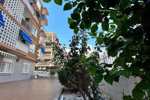 Apartment for sale Torrevieja, Alicante, Spain 3 bedrooms, 111 sq.m. No. 109101 - photo 4