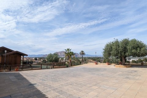 Villa en venta Bigastro, Alicante, España 4 dormitorios, 429 m2 No. 117262 - foto 9