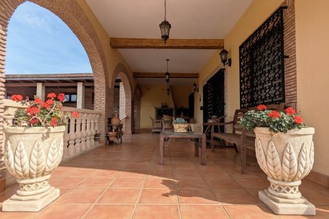 Villa en venta Bigastro, Alicante, España 4 dormitorios, 429 m2 No. 117262 - foto 11