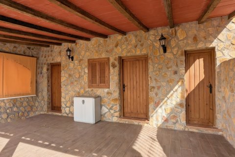 Villa en venta Bigastro, Alicante, España 4 dormitorios, 429 m2 No. 117262 - foto 16