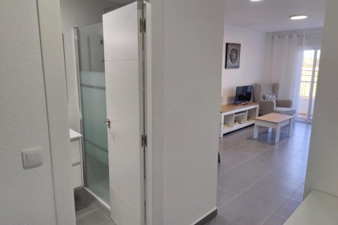 Apartment à vendre Torrevieja, Alicante, Espagne, 2 chambres, 70 m2 No. 109492 - photo 4
