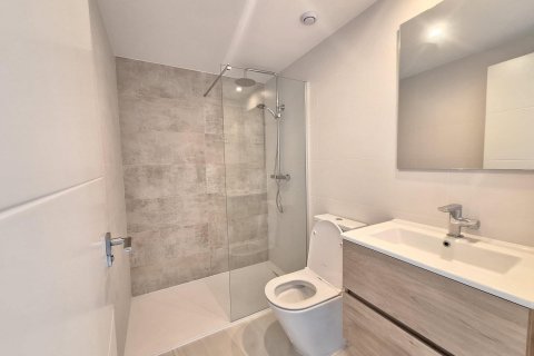 Penthouse for sale Torrevieja, Alicante, Spain 1 bedroom, 97 sq.m. No. 109487 - photo 19