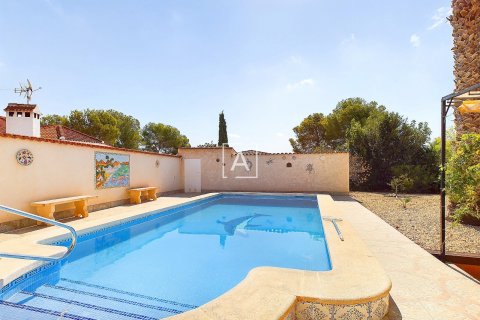 Villa for sale Pinar De Campoverde, Alicante, Spain 6 bedrooms, 379 sq.m. No. 114609 - photo 16