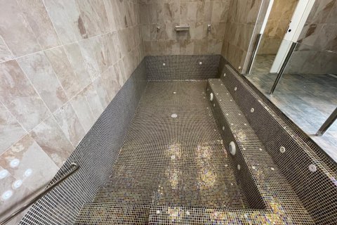 Продажа квартиры в Гуардамар-дель-Сегура, Аликанте, Испания 2 спальни, 64м2 №112311 - фото 29