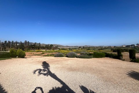 Villa for sale Los Belones, Murcia, Spain 4 bedrooms, 373 sq.m. No. 117923 - photo 10