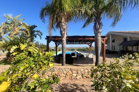 Villa for sale Los Belones, Murcia, Spain 4 bedrooms, 373 sq.m. No. 117923 - photo 12