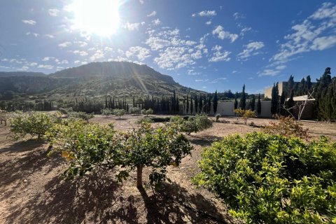 Villa for sale Los Belones, Murcia, Spain 4 bedrooms, 373 sq.m. No. 117923 - photo 2