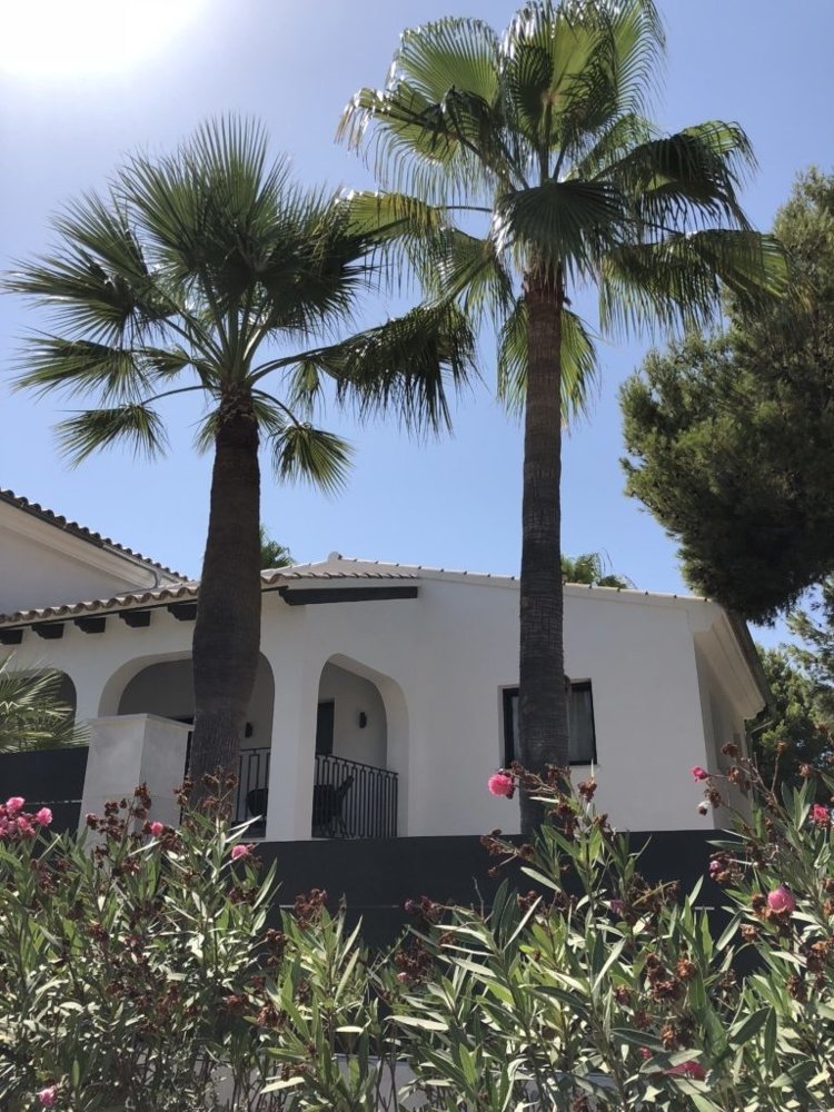 Villa à Santa Ponsa, Mallorca, Espagne 6 chambres, 430 m2 No. 103859