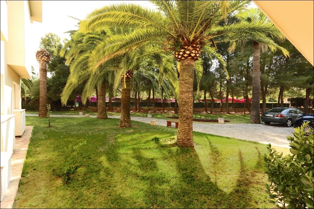 Villa à Palmanova, Mallorca, Espagne 10 chambres, 1 m2 No. 103854