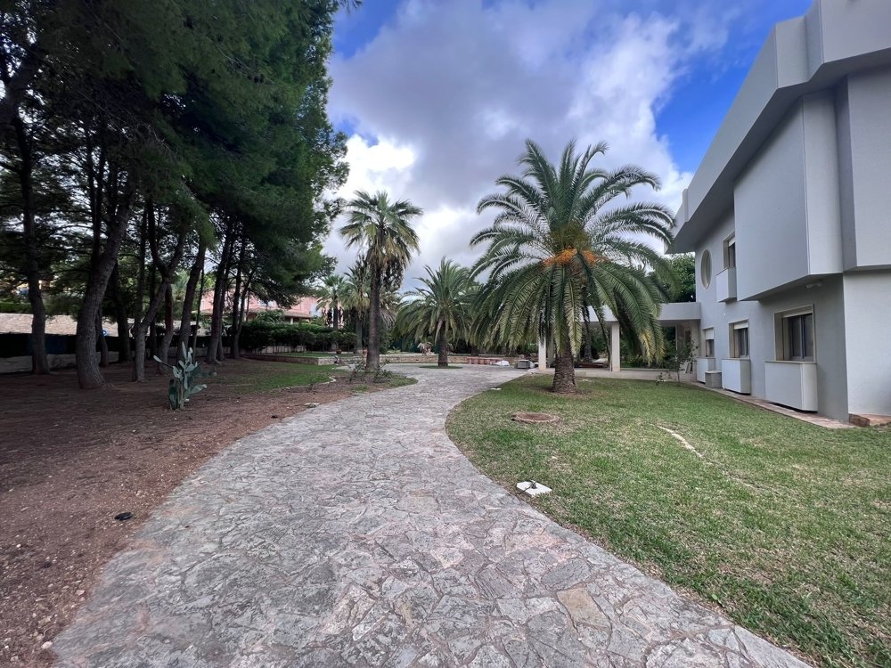 Villa à Palmanova, Mallorca, Espagne 10 chambres, 1 m2 No. 103854