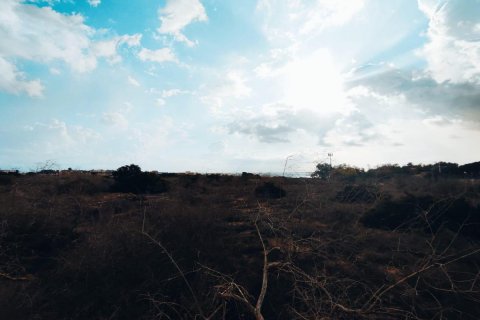 Land plot for sale Guardamar del Segura, Alicante, Spain No. 113028 - photo 1