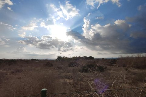 Land plot for sale Guardamar del Segura, Alicante, Spain No. 113028 - photo 6