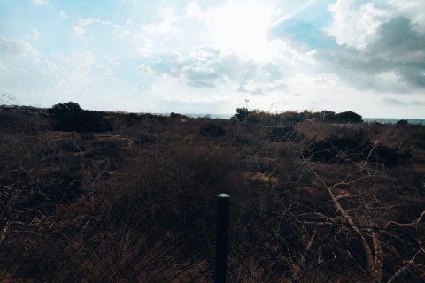Land plot for sale Guardamar del Segura, Alicante, Spain No. 113028 - photo 4