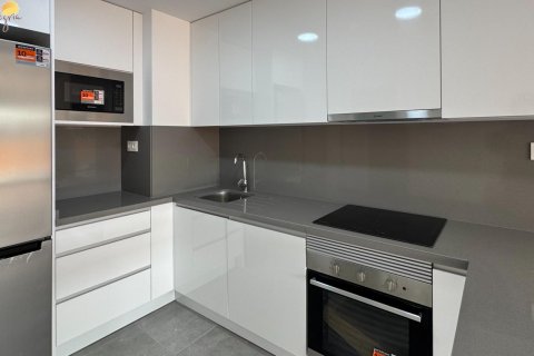 Продажа квартиры в Торревьеха, Аликанте, Испания 3 спальни, 108.73м2 №117525 - фото 16