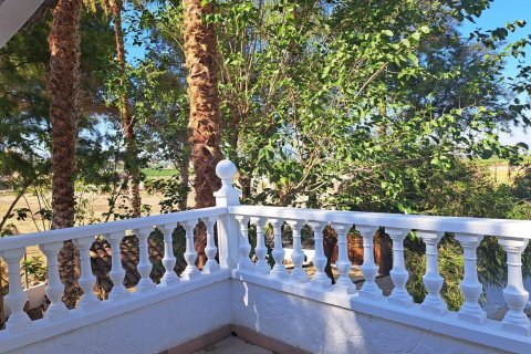 Villa for sale Orihuela, Alicante, Spain 5 bedrooms, 250 sq.m. No. 115135 - photo 5