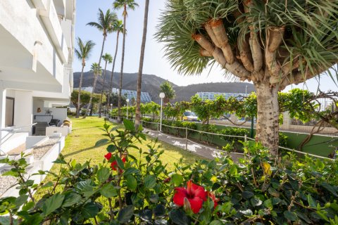 Apartament Puerto Rico, Gran Canaria, Hiszpania 2 sypialnie, 64 mkw. nr 107650 – zdjęcie 24