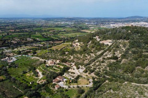 Finca for rent Manacor, Mallorca, Spain 4 bedrooms, 450 sq.m. No. 102562 - photo 3