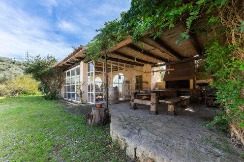 Finca for rent Manacor, Mallorca, Spain 4 bedrooms, 450 sq.m. No. 102562 - photo 4