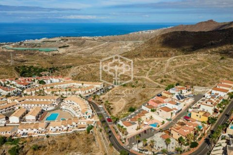 Land plot à vendre Arona, Tenerife, EspagneNo. 117355 - photo 6