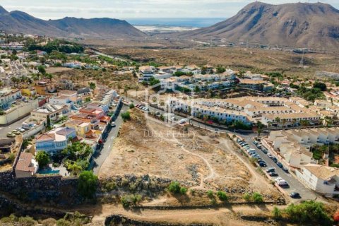 Land plot à vendre Arona, Tenerife, EspagneNo. 117355 - photo 2