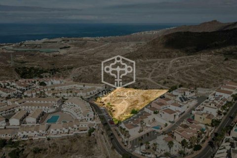 Land plot à vendre Arona, Tenerife, EspagneNo. 117355 - photo 5