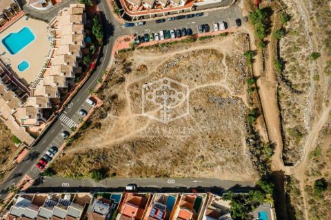 Land plot à vendre Arona, Tenerife, EspagneNo. 117355 - photo 4