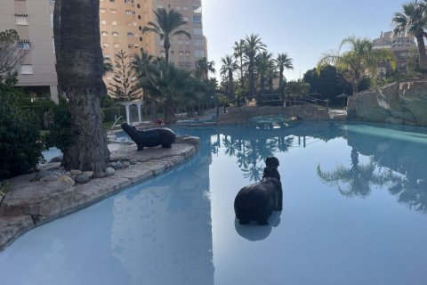 Bliźniak El Campello, Alicante, Hiszpania 4 sypialnie, 180 mkw. nr 118040 – zdjęcie 2