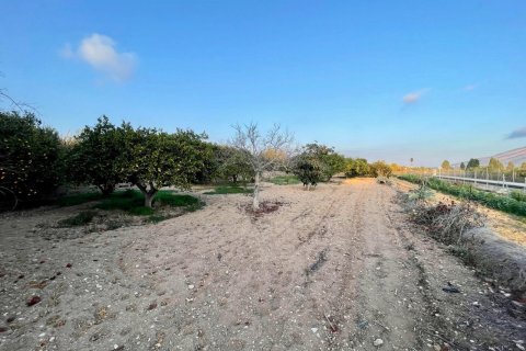 Продажа виллы в Бенидорм, Аликанте, Испания 5 спален, 280м2 №118034 - фото 19