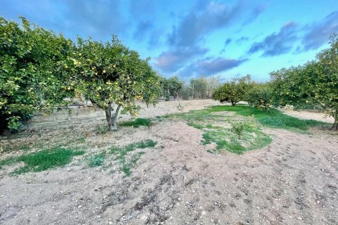 Продажа виллы в Бенидорм, Аликанте, Испания 5 спален, 280м2 №118034 - фото 29