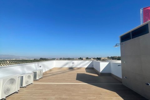 Villa for sale Algorfa, Alicante, Spain 3 bedrooms, 198 sq.m. No. 113202 - photo 4