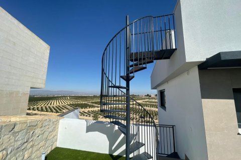 Villa for sale Algorfa, Alicante, Spain 3 bedrooms, 198 sq.m. No. 113202 - photo 11