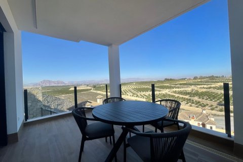 Villa for sale Algorfa, Alicante, Spain 3 bedrooms, 198 sq.m. No. 113202 - photo 25