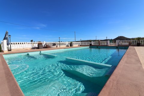 Finca myytävänä Rojales, Alicante, Espanja, 3 makuuhuonetta, 238 m2 No. 116138 - kuva 2