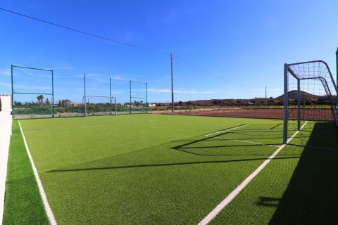 Finca myytävänä Rojales, Alicante, Espanja, 3 makuuhuonetta, 238 m2 No. 116138 - kuva 3