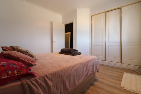 Finca myytävänä Rojales, Alicante, Espanja, 3 makuuhuonetta, 238 m2 No. 116138 - kuva 15