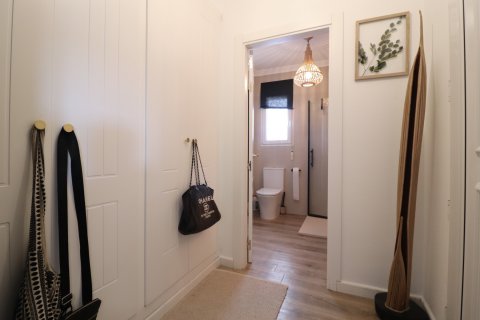 Finca myytävänä Rojales, Alicante, Espanja, 3 makuuhuonetta, 238 m2 No. 116138 - kuva 16