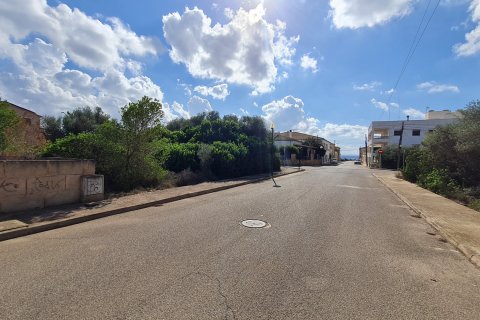 Terreno in vendita Sa Rapita, Mallorca, Spagna 686 mq. N° 111904 - foto 1