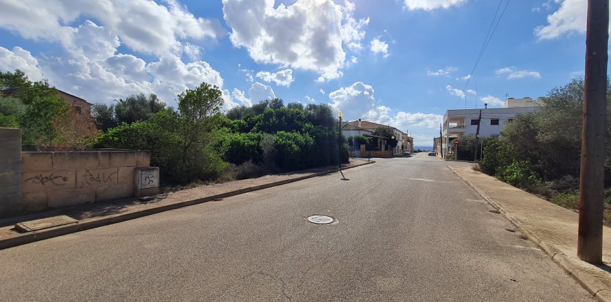 Terreno Sa Rapita, Mallorca, Spagna 686 mq. N° 111904