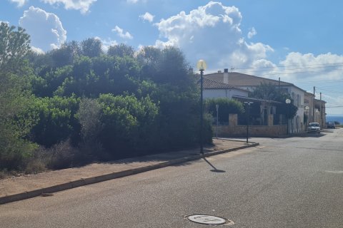 Terreno in vendita Sa Rapita, Mallorca, Spagna 686 mq. N° 111904 - foto 2
