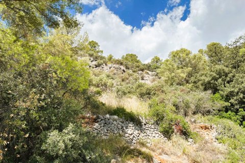 Zemes gabals pārdošanā Bunyola, Mallorca, Spānijā 1500 m2 Nr. 111903 - attēls 5