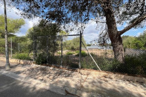 Działka Porto Cristo, Mallorca, Hiszpania 4 sypialnie, 814.87 mkw. nr 112034 – zdjęcie 7