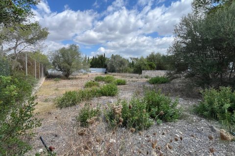 Działka Porto Cristo, Mallorca, Hiszpania 4 sypialnie, 814.87 mkw. nr 112034 – zdjęcie 6