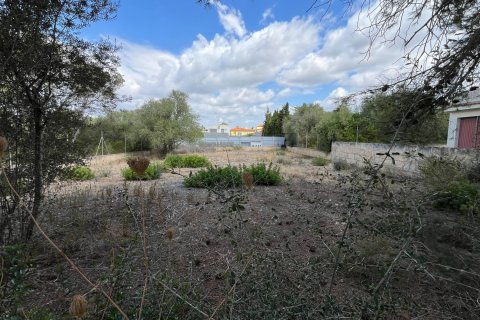 Działka Porto Cristo, Mallorca, Hiszpania 4 sypialnie, 814.87 mkw. nr 112034 – zdjęcie 8