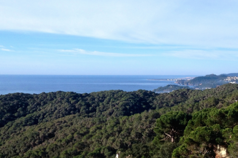 Land plot for sale Lloret de Mar, Girona, Spain No. 40539 - photo 1