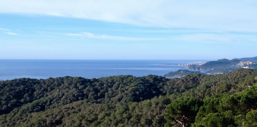 Land plot Lloret de Mar, Girona, Spain No. 40539