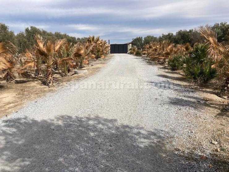 House in Baza, Granada, Spanien 4 Schlafzimmer, 1098 m2 Nr. 86762