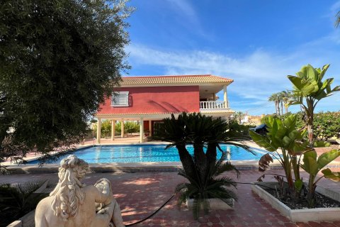 Huvila myytävänä Torrevieja, Alicante, Espanja, 6 makuuhuonetta, 579 m2 No. 115169 - kuva 6