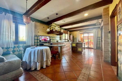 Villa zum Verkauf Rojales, Alicante, Spanien 4 Schlafzimmer, 450 m2 Nr. 115171 - Foto 30