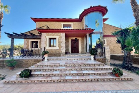 Villa zum Verkauf Rojales, Alicante, Spanien 4 Schlafzimmer, 450 m2 Nr. 115171 - Foto 2